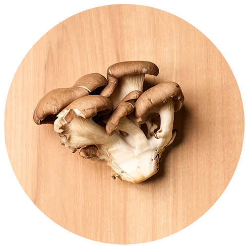 平茸