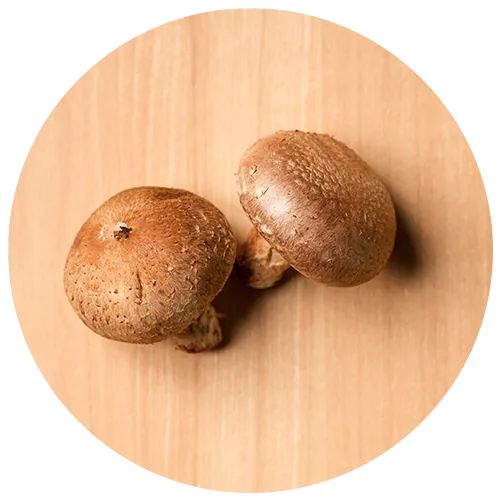 椎茸